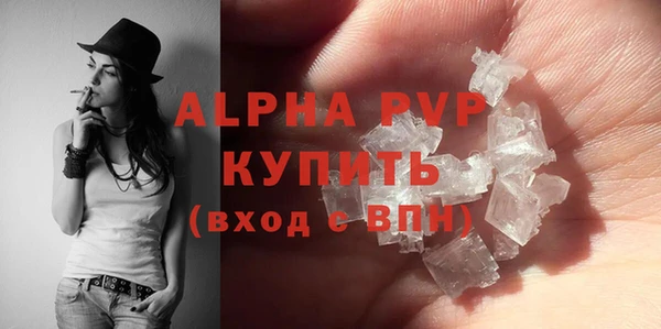 ECSTASY Белокуриха