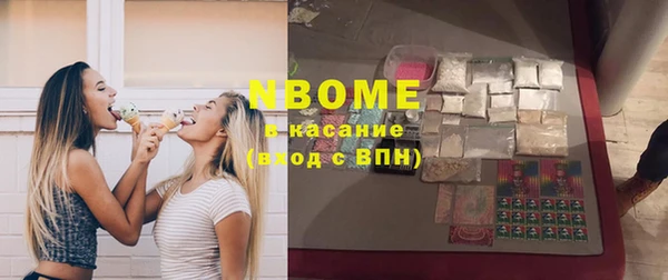 индика Беломорск