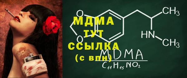 индика Беломорск