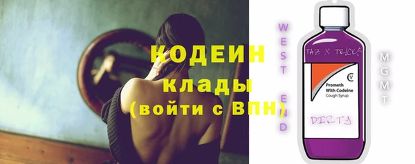 индика Беломорск