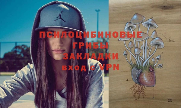 круглые Богородск