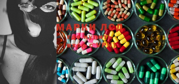 ECSTASY Белокуриха