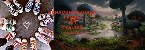 ECSTASY Белокуриха