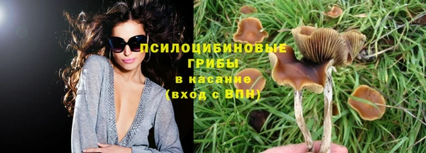 ECSTASY Белокуриха