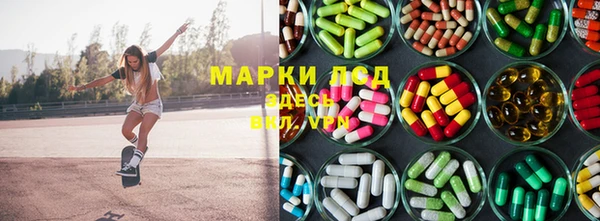 ECSTASY Белокуриха