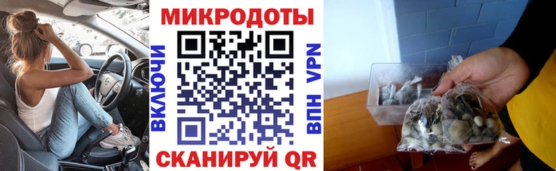 Купить закладки  Кирово-Чепецк  Галлюциногенные грибы прущие грибы 
